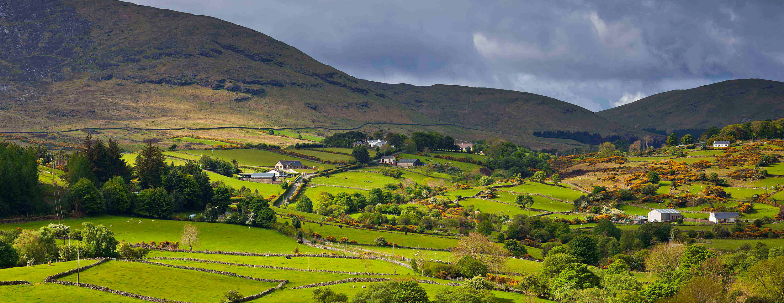 Mournes